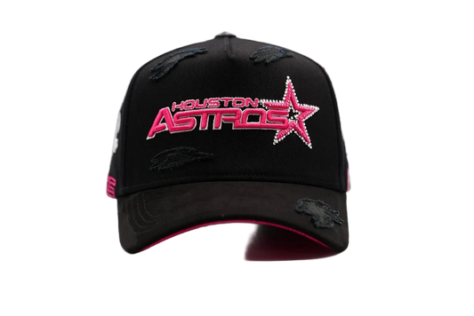 Houston Astros Bigg Boss